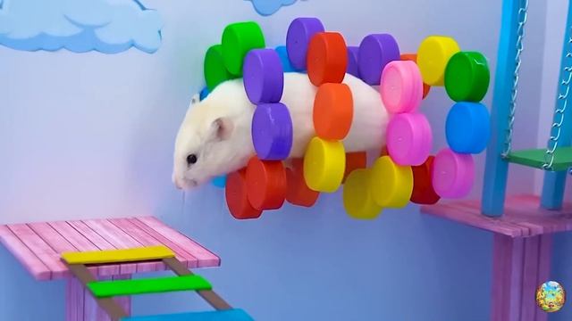 Хомячок убегает из красочного лабиринта с пауком! 4 часть