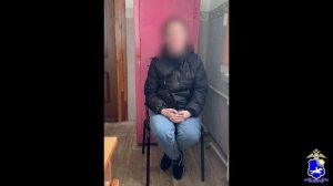 Полиция Тувы уличила «ясновидящую» упаковщицу мясокомбината из Мордовии в онлайн-мошенничестве