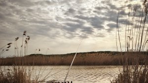 ВЗЯЛ ПОПЛАВОК СПУСТЯ 17 ЛЕТ ЛУЧШАЯ РЫБАЛКА ДЛЯ МЕНЯ