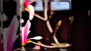 Всем привет!