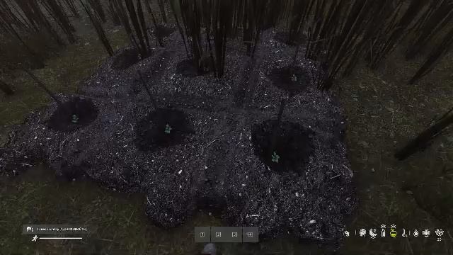 дейз день 1 после вайпа