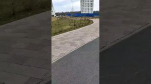 вопросы ответы