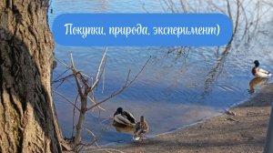 Покупки, болталка, эксперимент, природа🧶🦆🐿💚