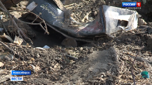 Жители Новосибирска пожаловались на крысиные гнёзда рядом с домами