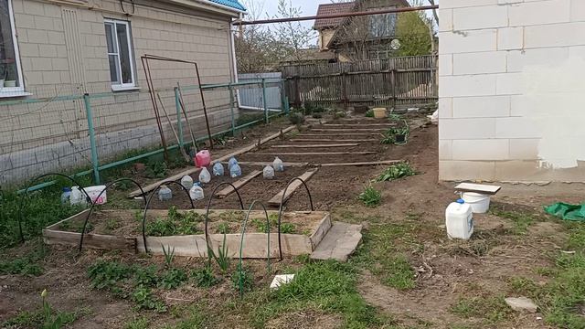 Новости с участка на юге