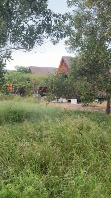 Звуки природы