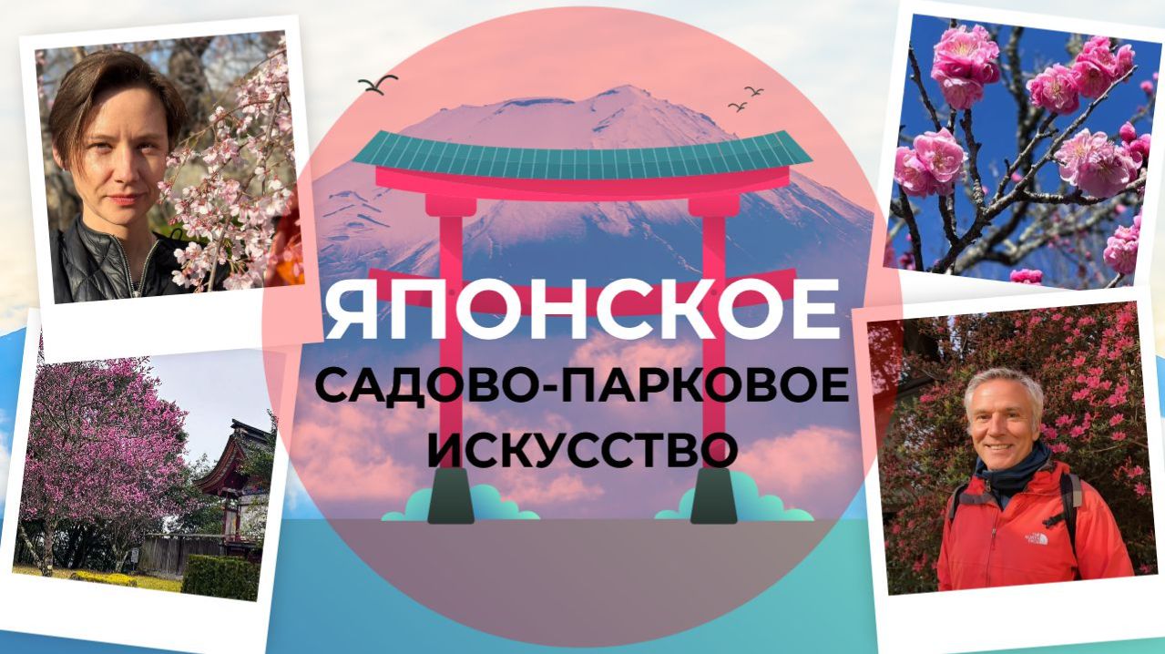 Почему японские сады такие волшебные