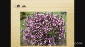 Уход за садом с Анастасией Борункова 14.4 14:00