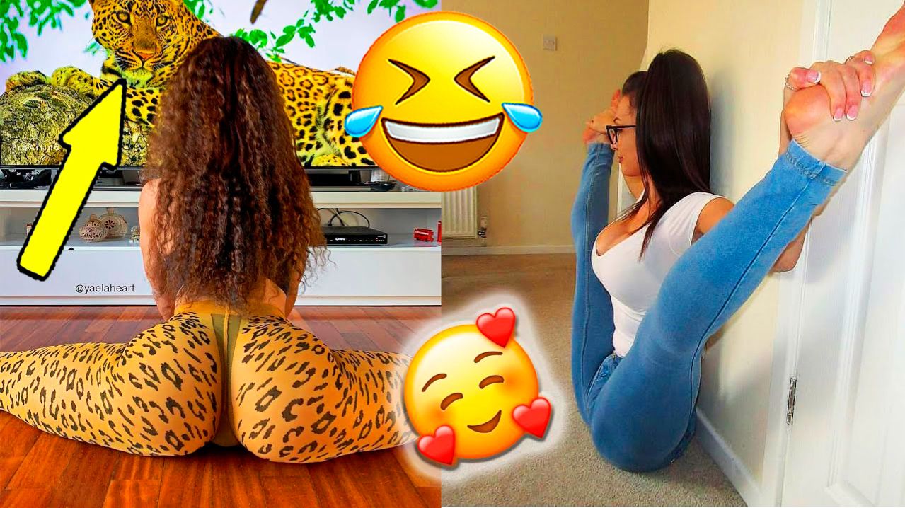 ✅ Я РЖАЛ ДО СЛЁЗ, СМЕШНЫЕ ПРИКОЛЫ 2026, СБОРНИК ПРИКОЛОВ, ЛУЧШИЕ ПРИКОЛЫ, С ДЕВУШКАМИ, С КОТАМИ