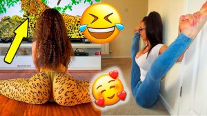 ✅ Я РЖАЛ ДО СЛЁЗ, СМЕШНЫЕ ПРИКОЛЫ 2026, СБОРНИК ПРИКОЛОВ, ЛУЧШИЕ ПРИКОЛЫ, С ДЕВУШКАМИ, С КОТАМИ