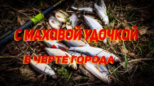 Рыбалка с маховой удочкой в черте города