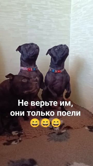 13 апреля 2026 г.