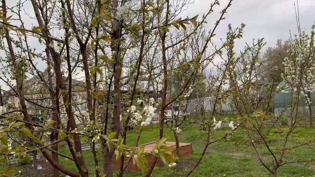 ❤️Действуем не по плану. Успеваем в доме и на участке.