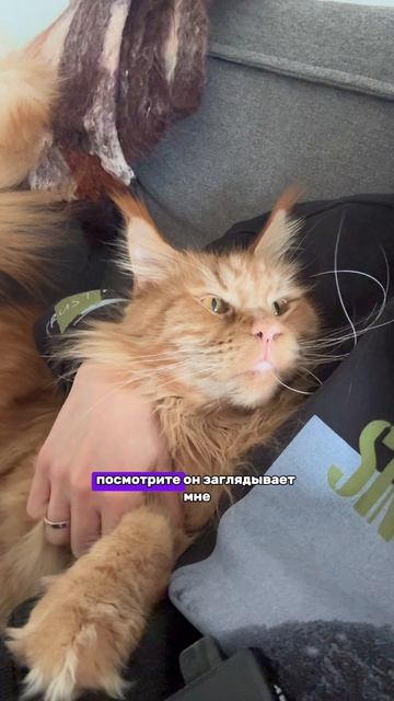 Мой зоопарк🤩😂❤️