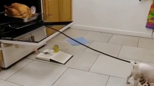 Всегда с пользой проводите время