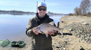 Рыбалка 2026. Первые весенние лещи гнут фидер и ломают крючки.