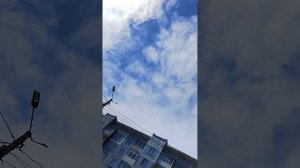 Я с кусь кусь Тихоном гуляю