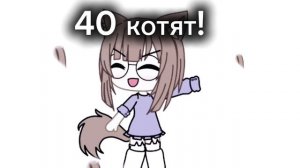 40 котят ❤ в честь этого я всем делаю обры кто хочет пишите я