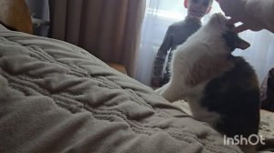 влог.неожиданнная гостья///помоему вышла из положения