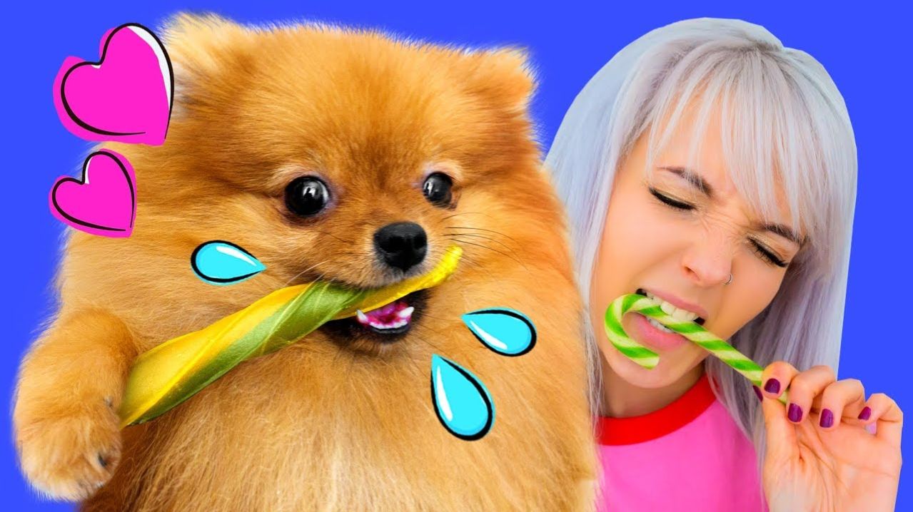 Студия Мультио