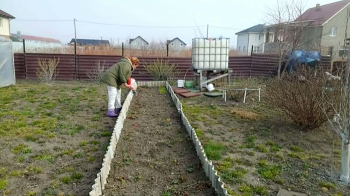 Огородные Дела / Продолжаю Пикировать Рассаду / Уборка /