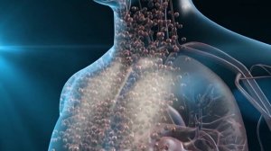 Н-500 (Водородный антиоксидант)