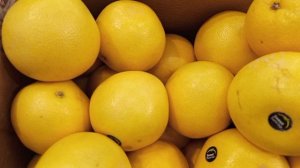 #фрукты круглый год