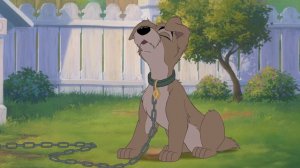 леди и бродяга клип про мою жизнь "держусь"/ Ledi and the tramp