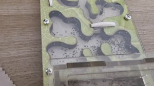 Жизнь муравьёв. 23 серия.