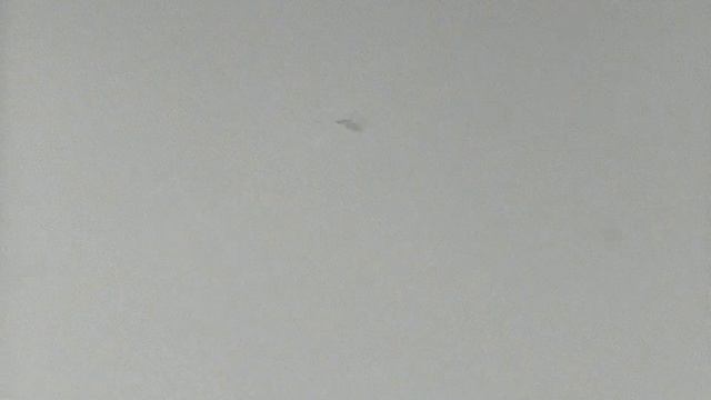 1968 год. Тюмень. Жизнь в Дворце Пионеров