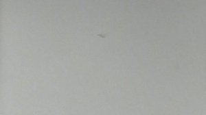 1968 год. Тюмень. Жизнь в Дворце Пионеров