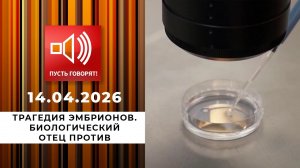 Трагедия эмбрионов. Биологический отец против. Пусть говорят. Выпуск от 14.04.2026
