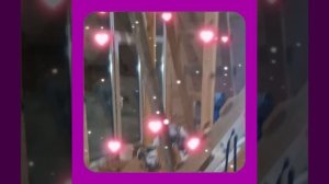 1000056082.mp4 (Собака наблюдает за устройством лестницы на 2-ой этаж в доме А-фрейм)