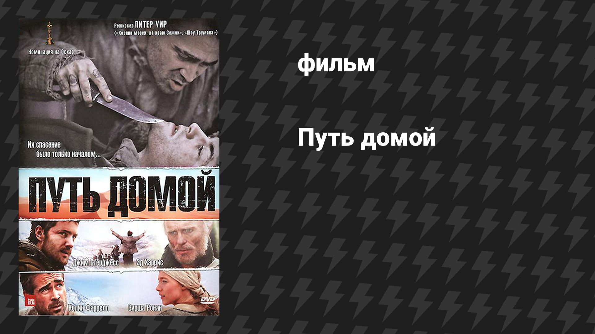 Путь домой (фильм, 2010)
