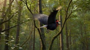 25 капель от Ведьмы  Сказочная песня.