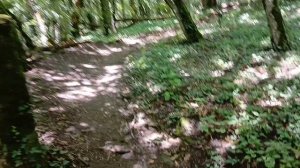 Очередной подъем на гору  Медведь в Архипо-Осиповке на Чёрном море