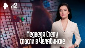 Медведь Степа обрел новый дом: история спасения питомца бойца СВО в Челябинске