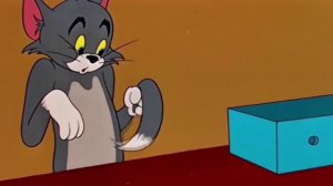 Tom & Jerry | Что происходит с хвостом Тома