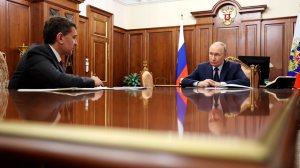 Путин оценил результаты «Россетей» по строительству ЛЭП