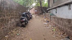 Видео от Марины @LadyMary555 . Вечер с Мотей, Снежинкой и Коровами. Арамболь. Гоа. Индия.