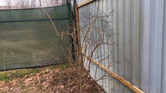 Садово-огородные работы. Привезли плёнку и ленту.