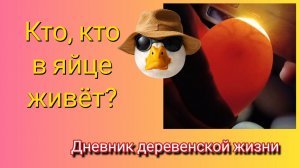 Это не козлы, а КОЗЛЫ 🤬! Овоскопирование гусиных яиц.