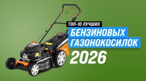 ТОП-10 лучших бензиновых газонокосилок 2026 года | Рейтинг надежных моделей для дачи