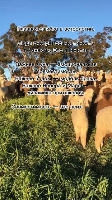 Главная ошибка в астрологии... #7гроз #веды #нумерология #астрология #магиячисел