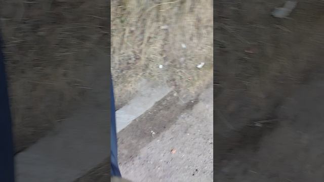 Идём в школу