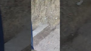 Идём в школу