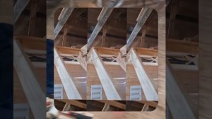 1000056078.mp4 (Собака наблюдает за устройством лестницы на 2-ой этаж в доме А-фрейм)