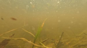 Как убрать воду с дачного участка по-этапно.