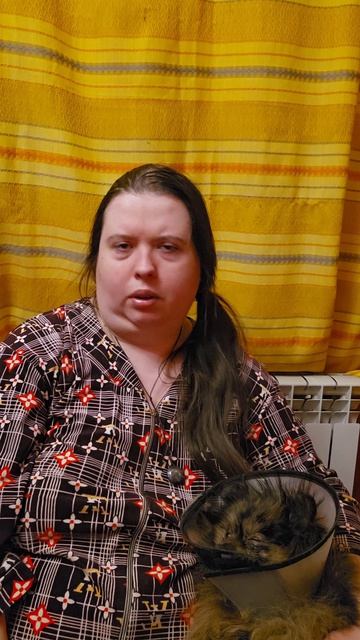 Лечим Луну собаки шпицы животные шпиц собака