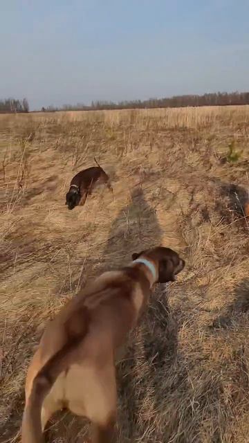 Красивая Счастливая Жизнь Зарина